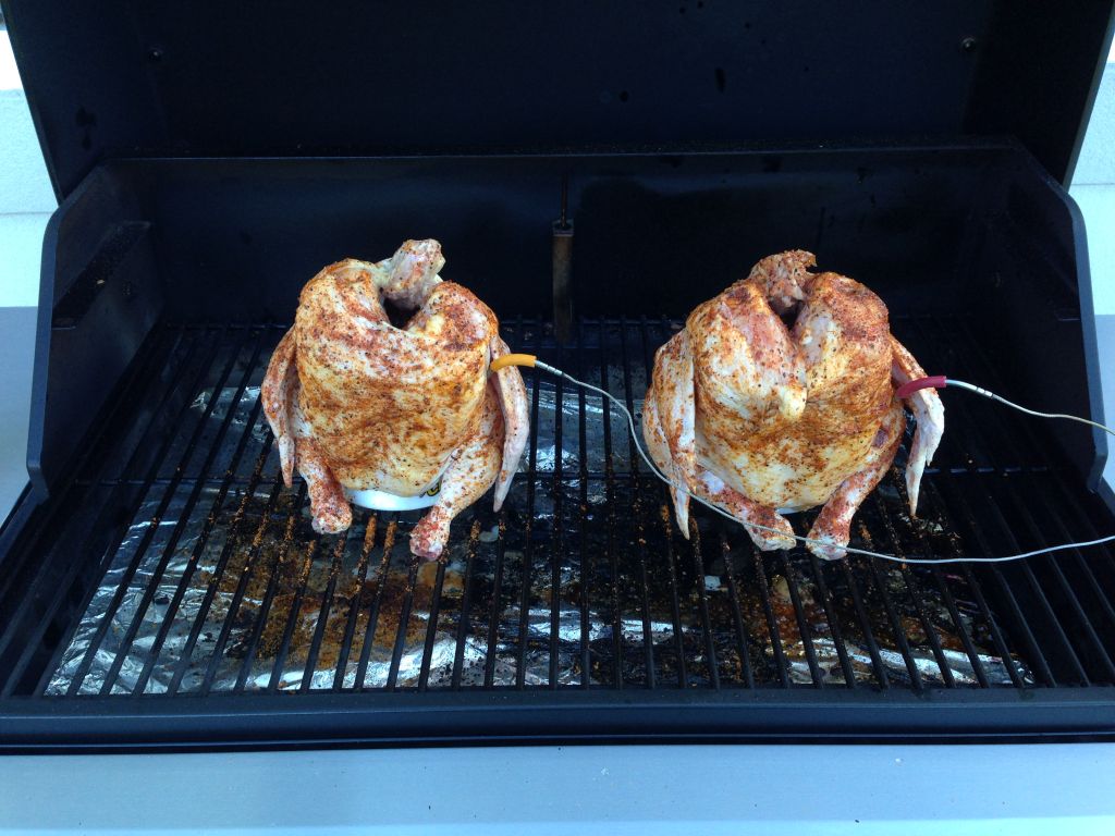 All hail the chicken!