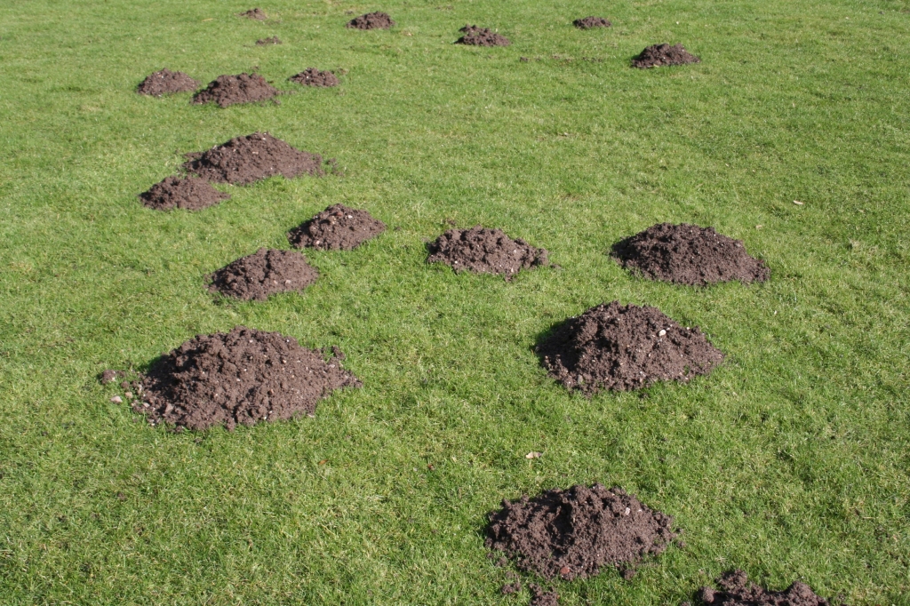 Stomping the mole hills doesn't work
