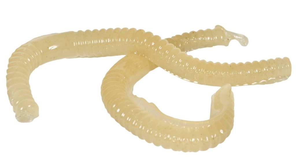 Poison worms -- it's what's for dinner!